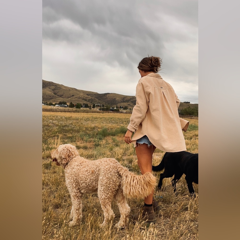 Meet your Posher, Riley